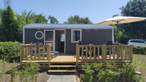 MOBILHEIM HERZ LAUWERSOOG - Chalet Robbengat